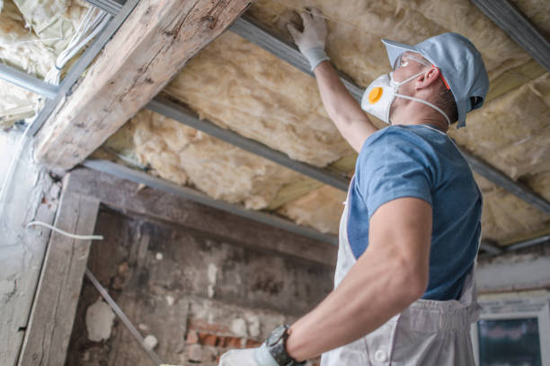 Types of Insulation We Offer in Kendall, FL